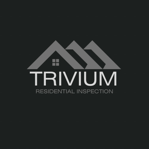 Trivium Residential Inspections — Bradley Jenkins, Richmond VA